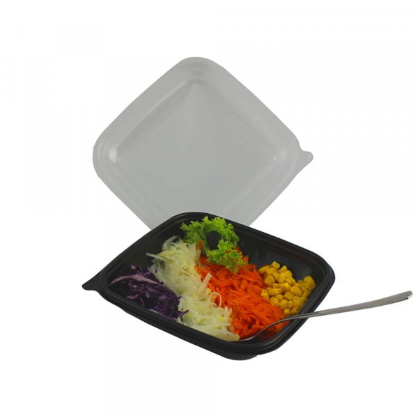 480 Stk. Salatschalen Crudi Boxen 190x190x40mm 750 ml